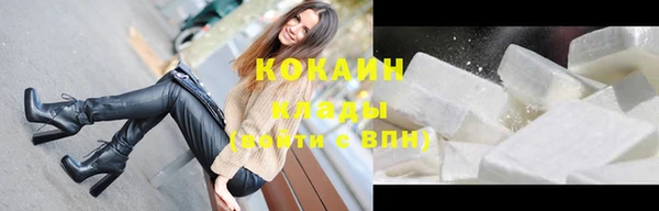 соль ск Абаза