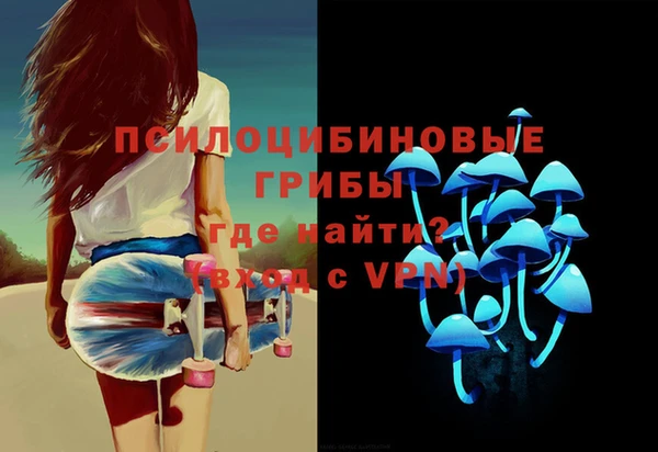 соль ск Абаза
