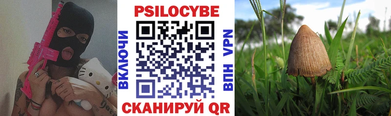 Галлюциногенные грибы Psilocybe  hydra как войти  Уварово 