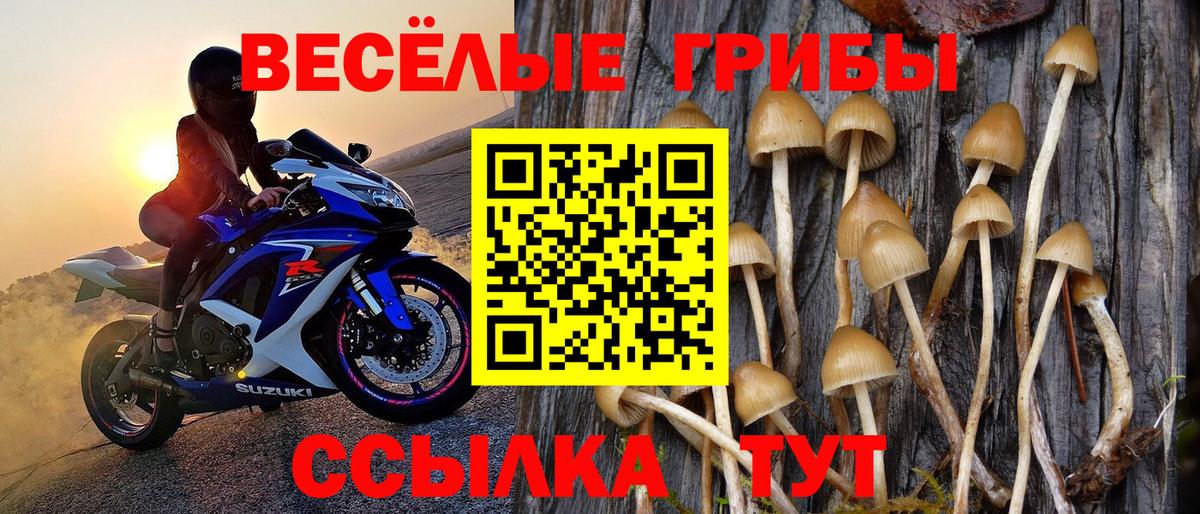Псилоцибиновые грибы Cubensis Уварово