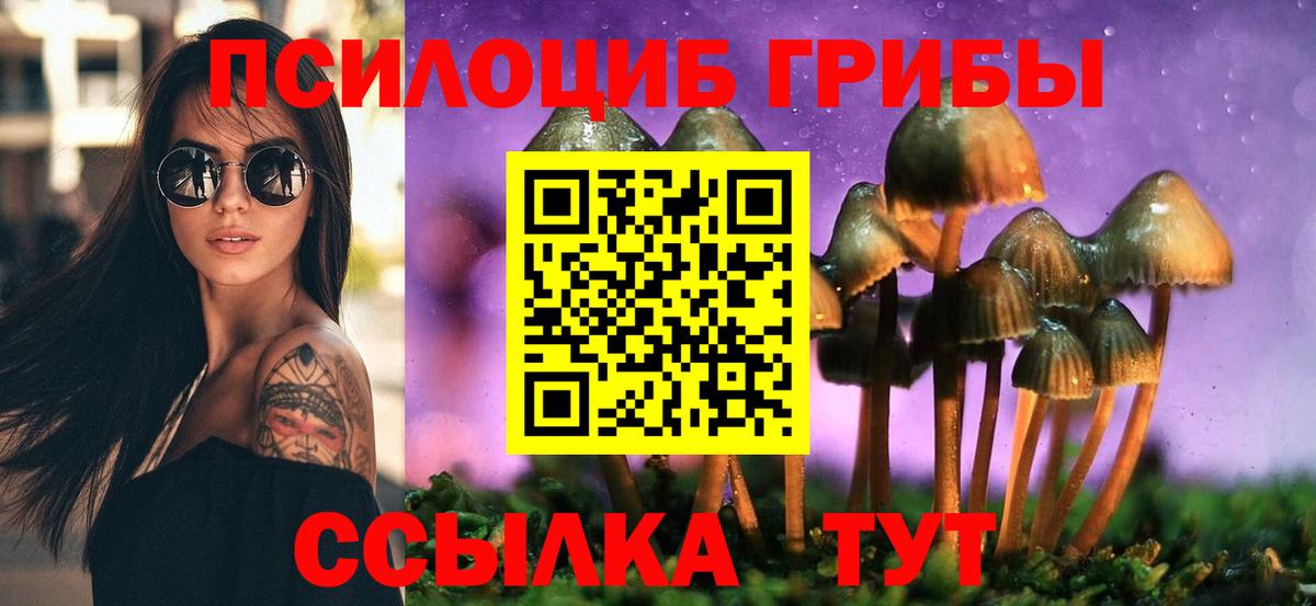 Псилоцибиновые грибы MAGIC MUSHROOMS  Псилоцибиновые грибы Magic Shrooms  Уварово  Вход с VPN 